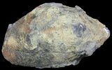 Purple Amethyst Geode - Uruguay #66694-2